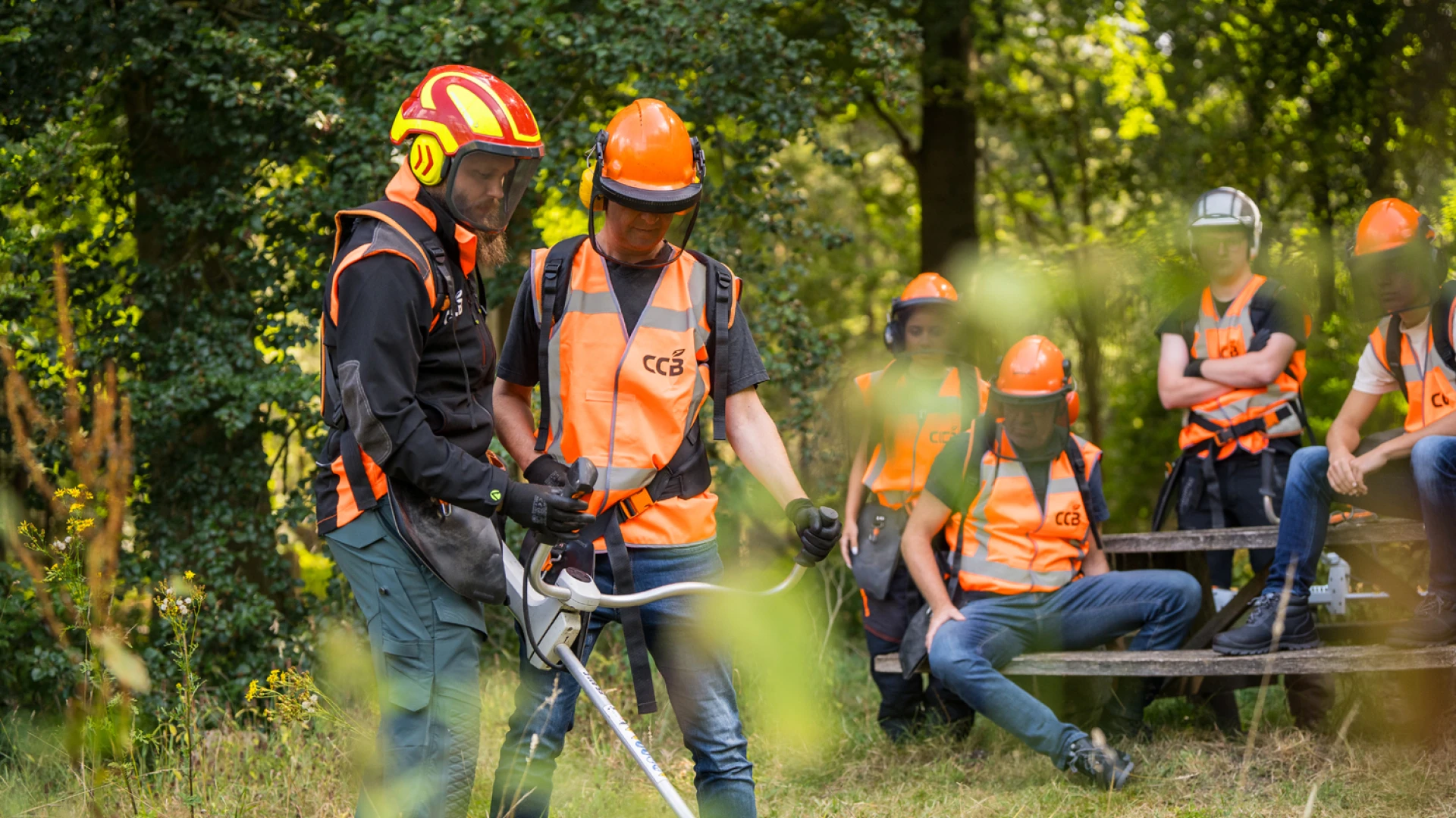 Cursus bosmaaien opfris