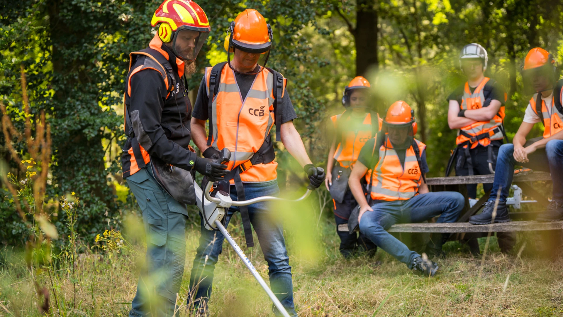 Cursus bosmaaien opfris