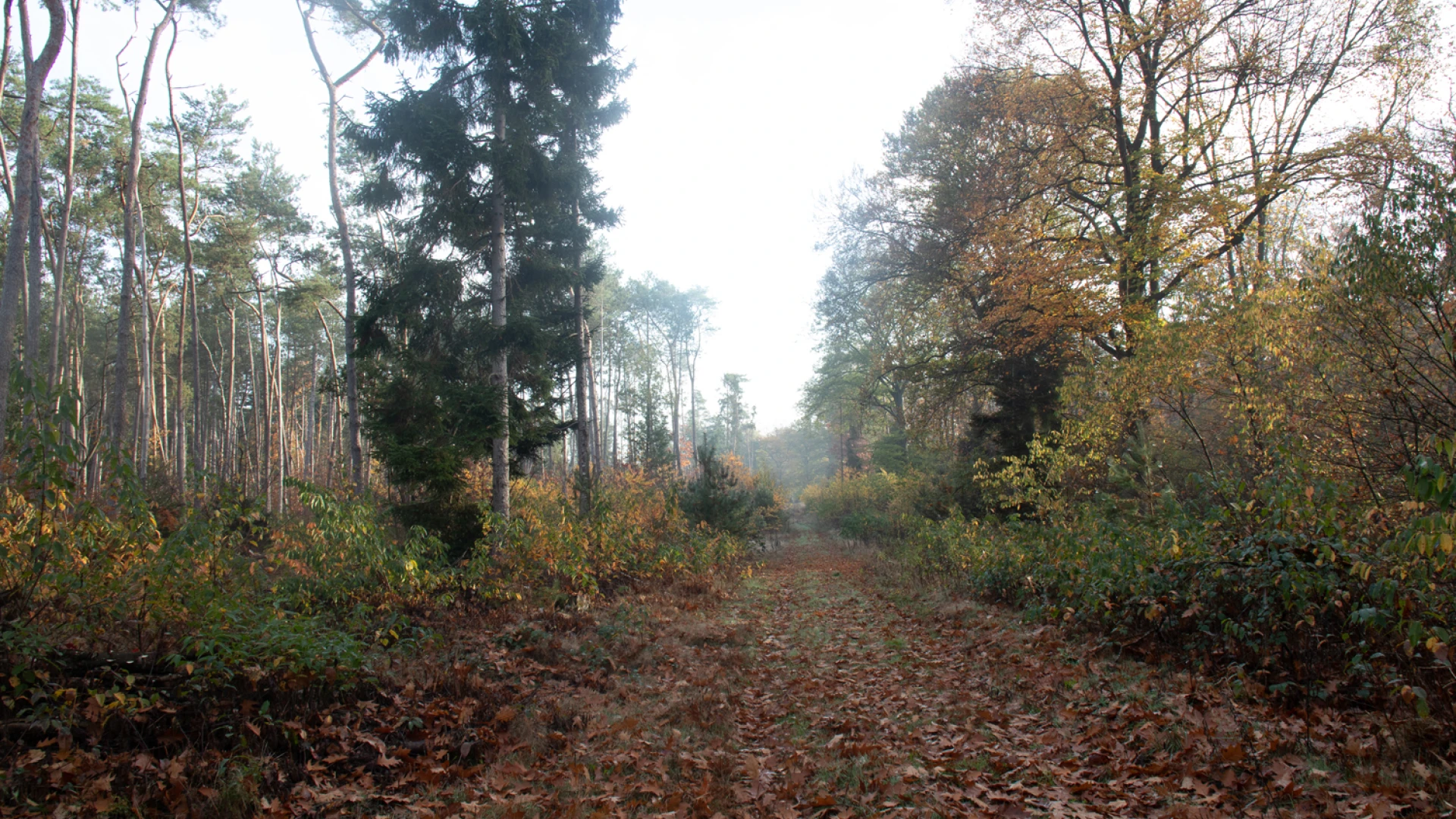 Wet natuurbescherming cursus