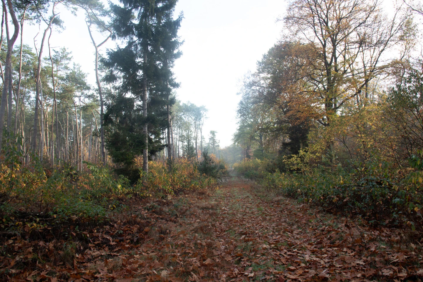 Wet Natuurbescherming cursus