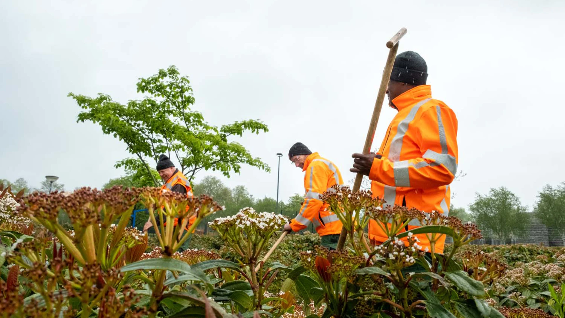 Beheer openbaar groen