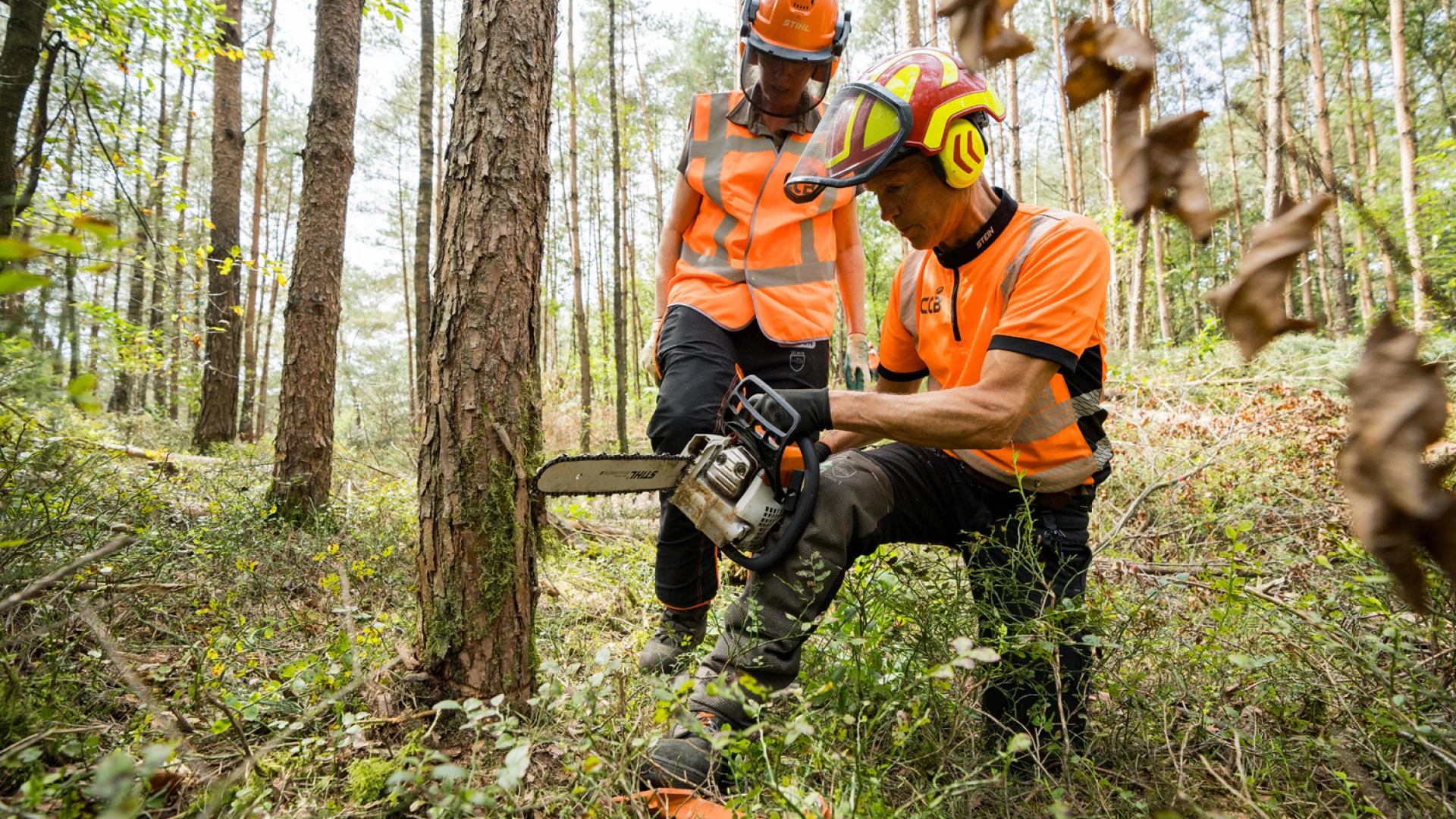 Cursus kettingzagen