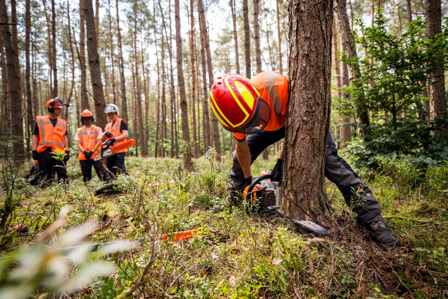 Cursus kettingzagen Cursus kettingzagen