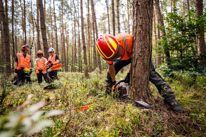 Cursus kettingzagen