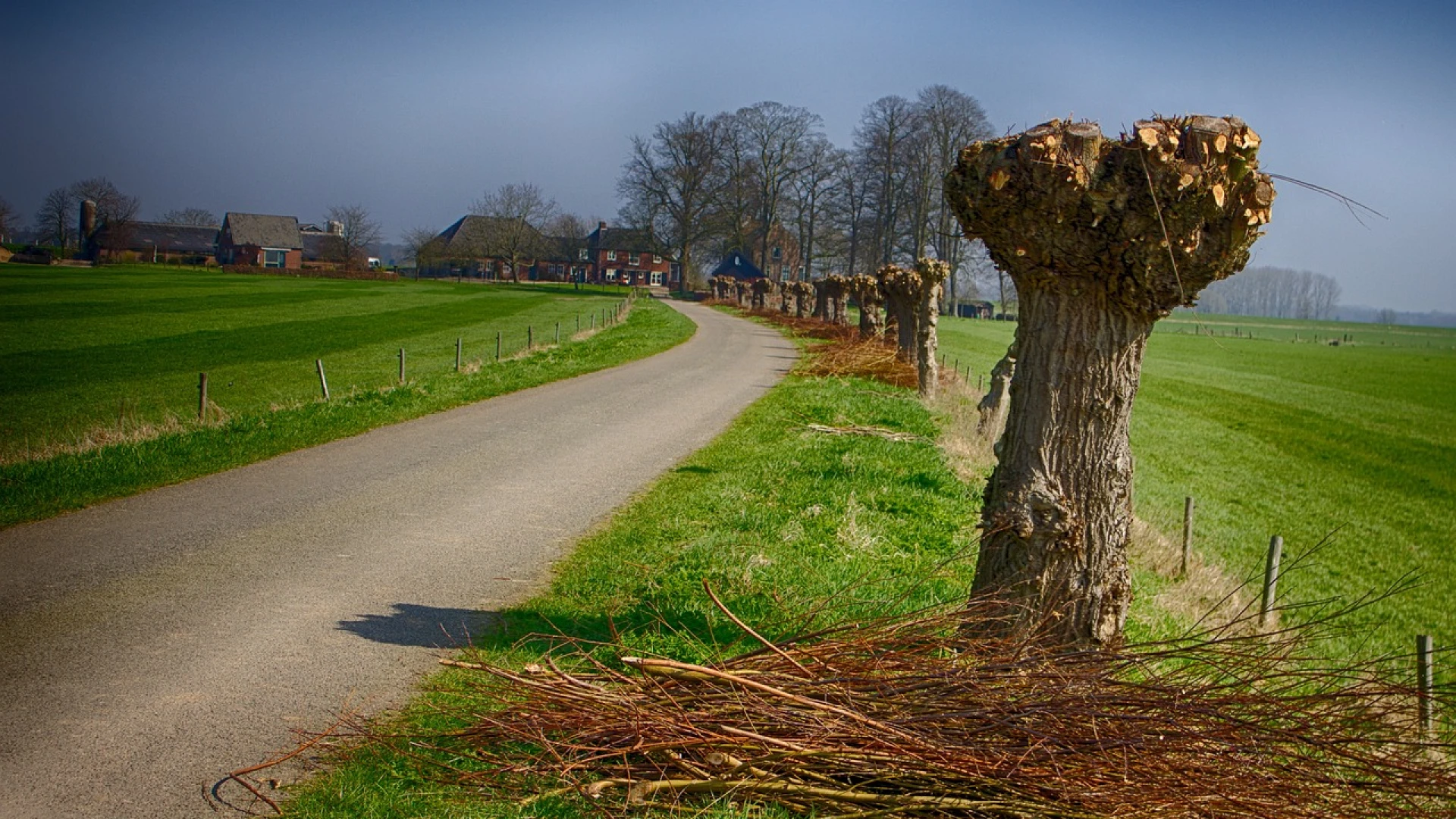 Cursus kettingzagen