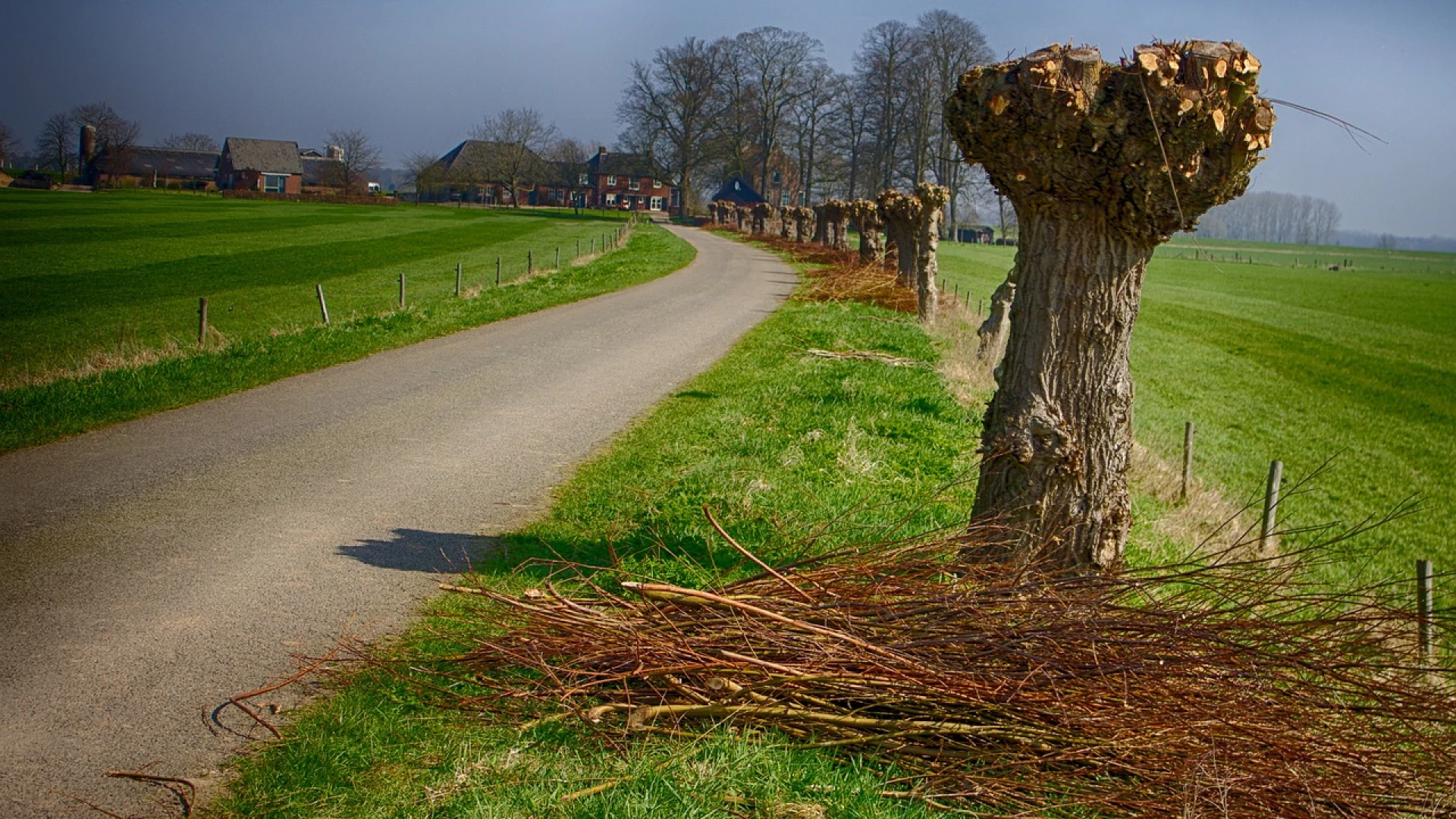 Cursus kettingzagen