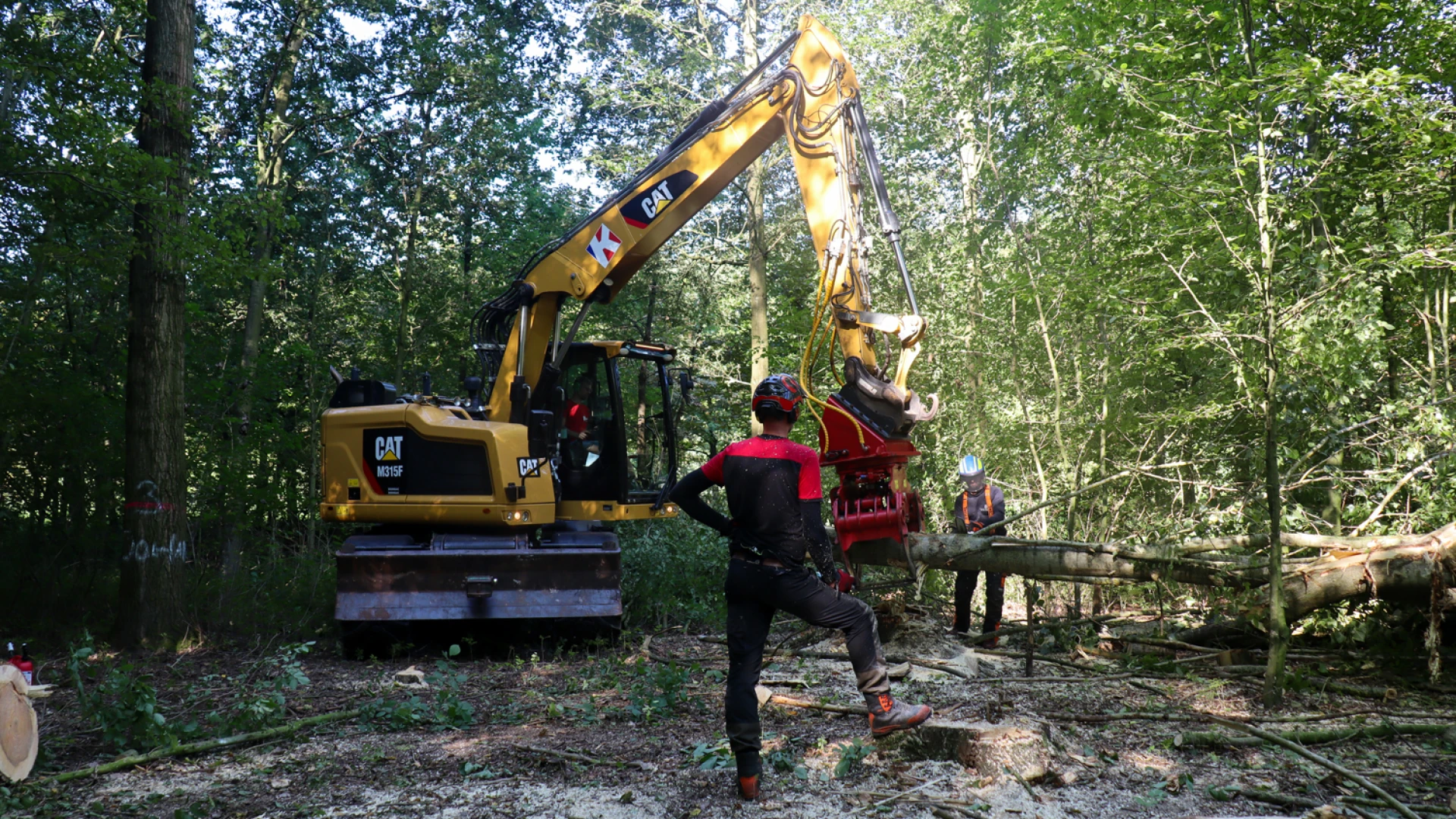 kettingzaag cursus