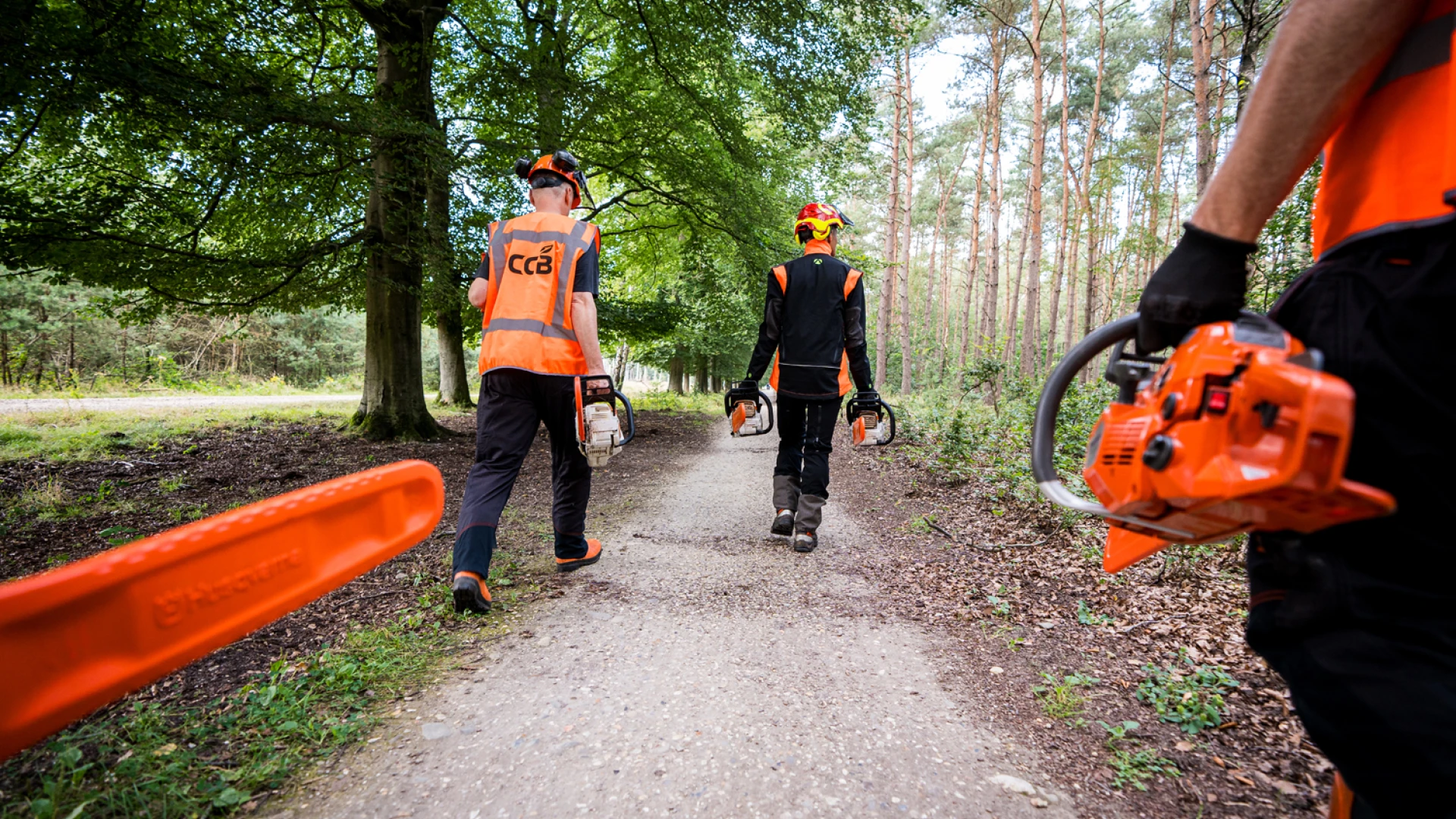 kettingzaag cursus