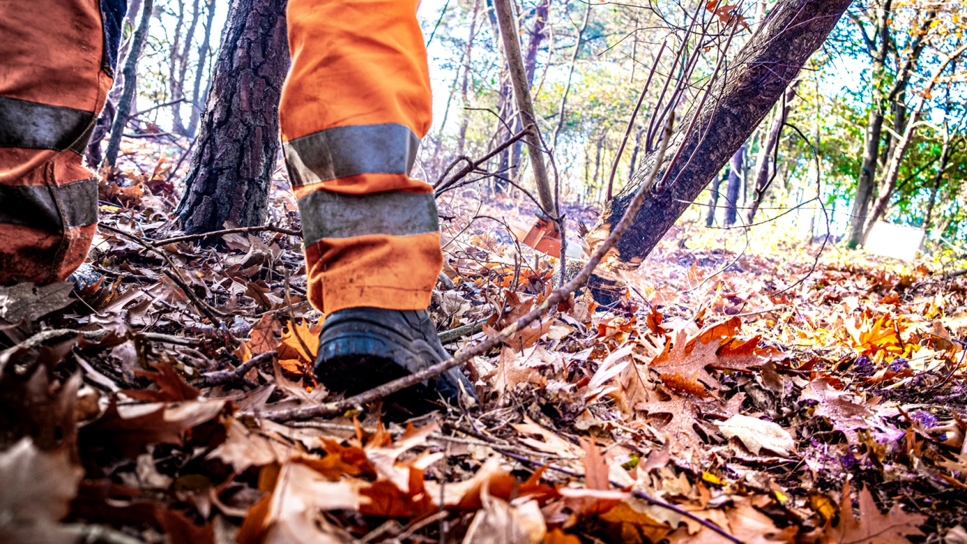 Wet natuurbescherming 1 cursus