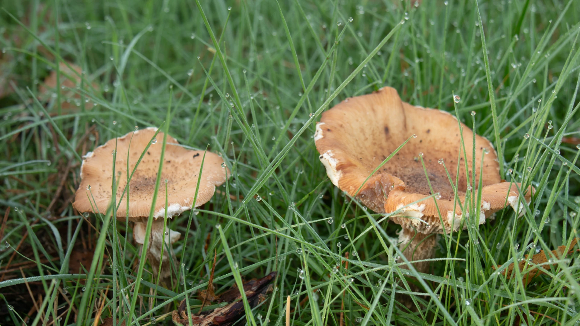 Wet natuurbescherming 2 cursus