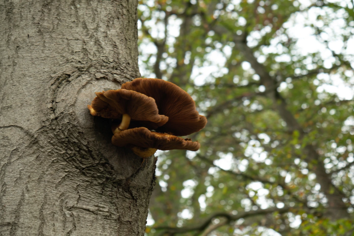 Wet natuurbescherming cursus