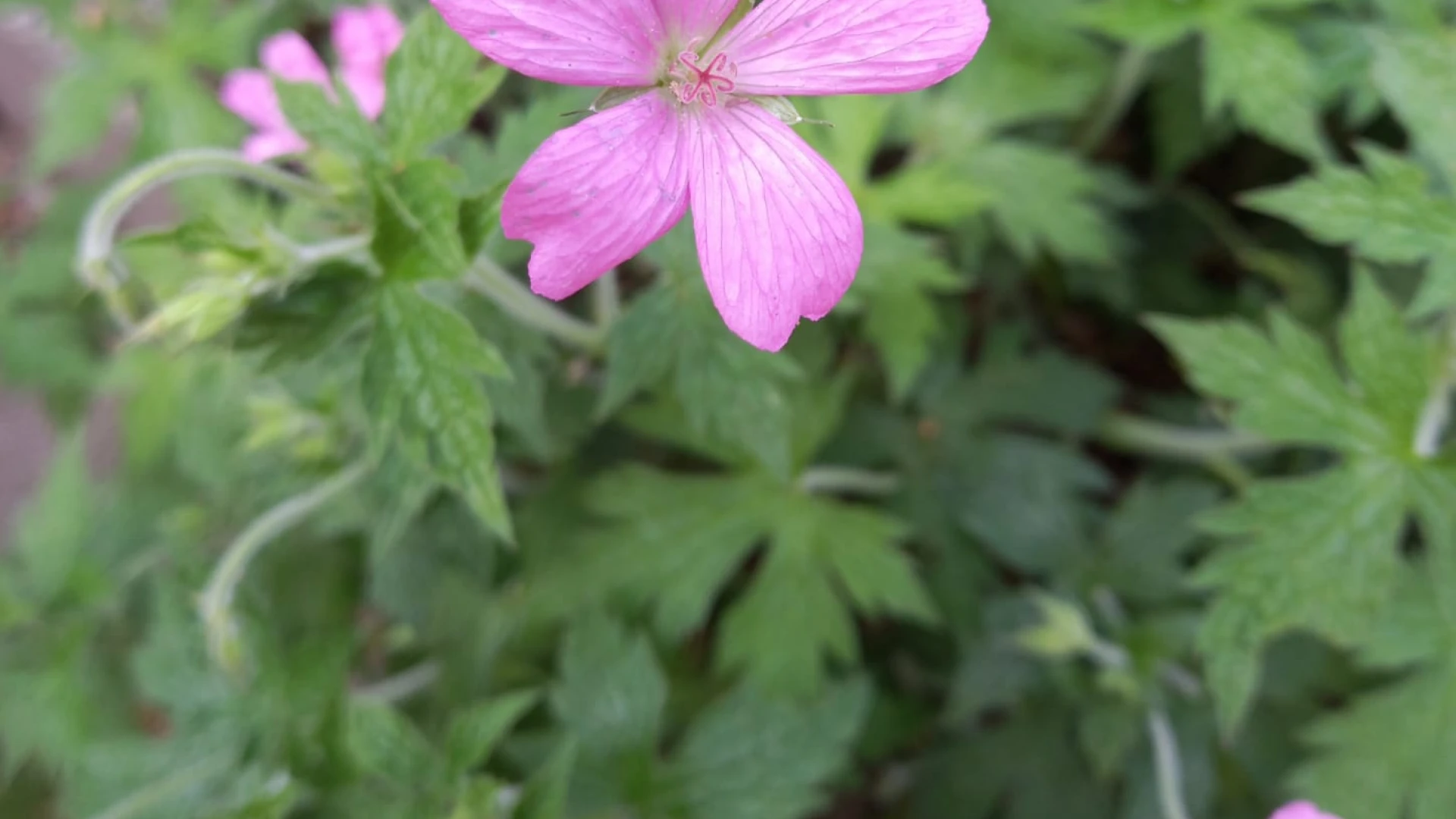 Wet natuurbescherming cursus