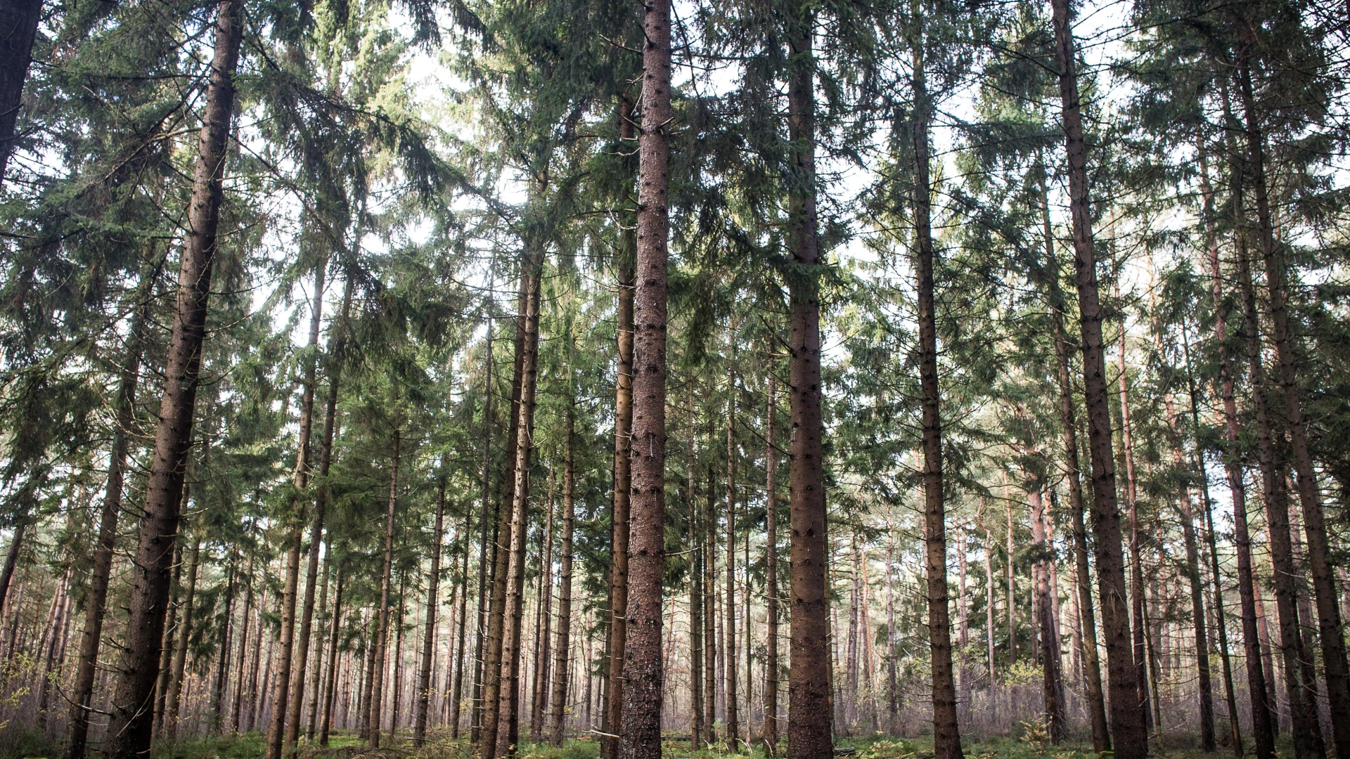 Wet natuurbescherming cursus