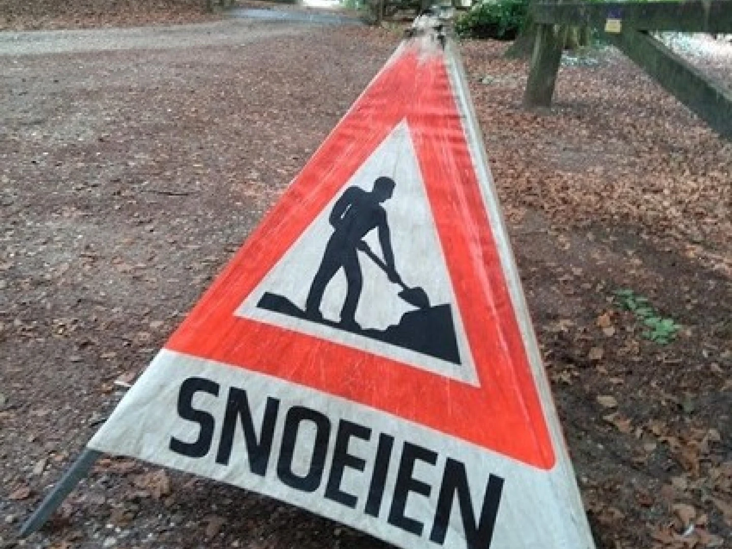 snoeien van bomen 2